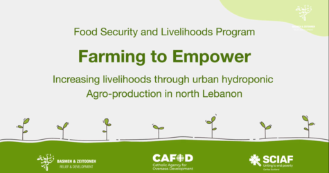 Farming to Empower:  Increasing livelihood through urban hydroponic agro-production in North Lebanon.